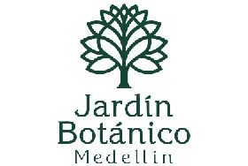JB Medellín